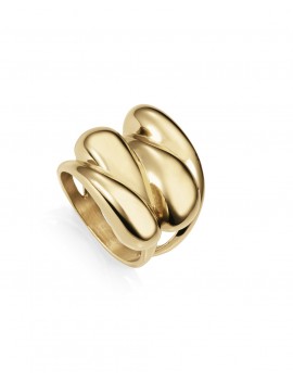 Anillo Viceroy