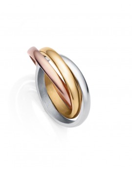 Anillo Viceroy